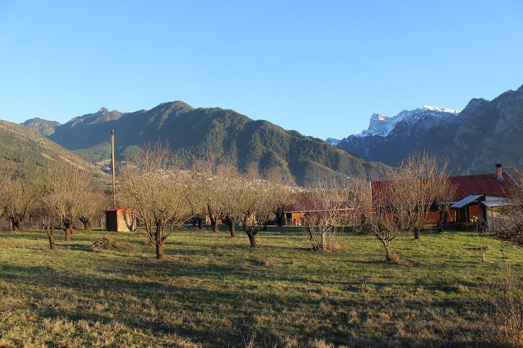 Villa Rustica Коница Екстериор снимка