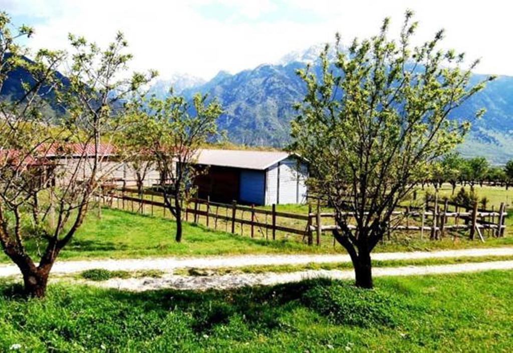 Villa Rustica Коница Екстериор снимка